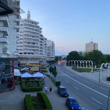 Studio Panoramic With Balcony And Parcul Unirii View Άλμπα Ιούλια Εξωτερικό φωτογραφία