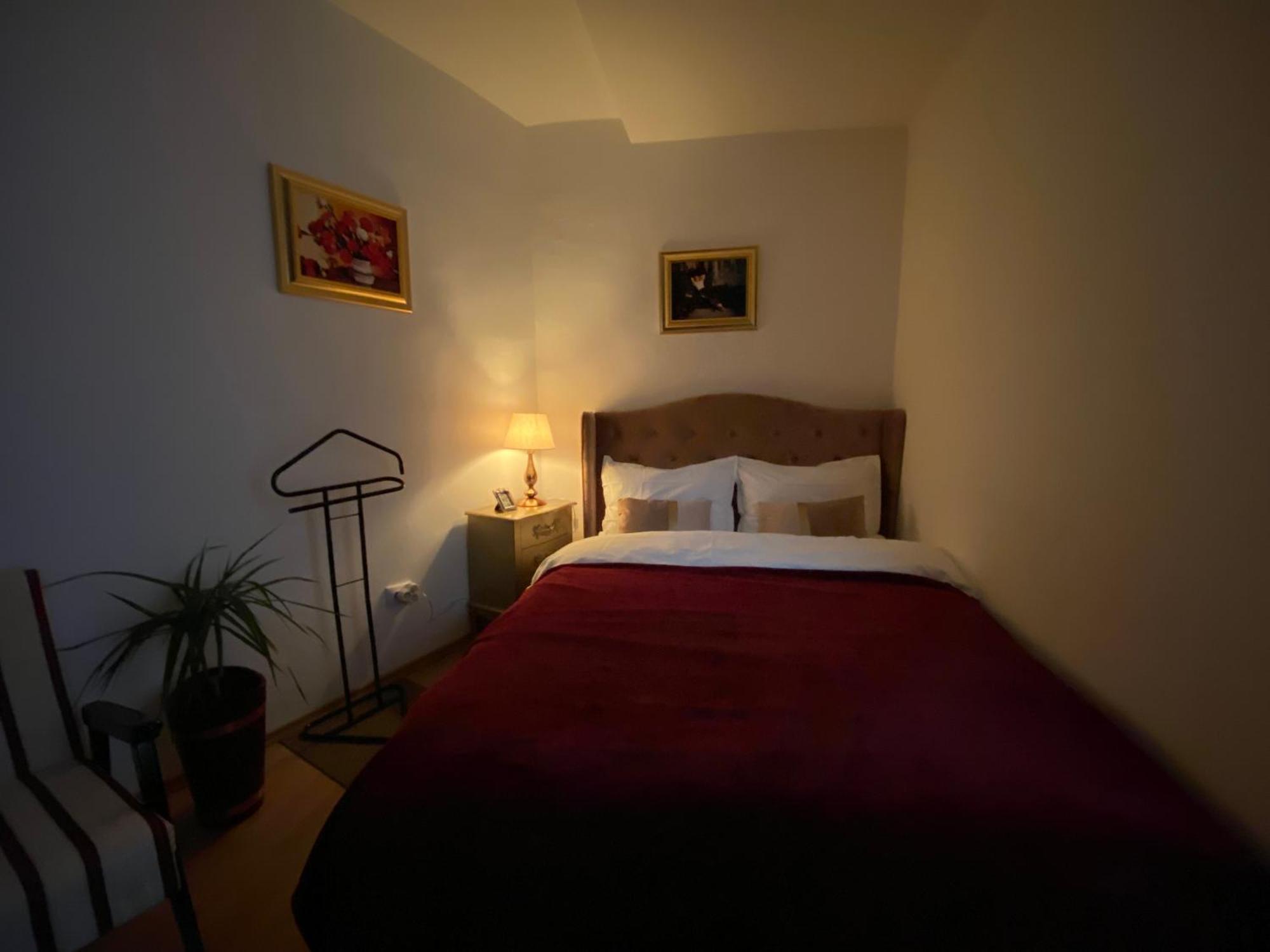 Studio Panoramic With Balcony And Parcul Unirii View Άλμπα Ιούλια Εξωτερικό φωτογραφία