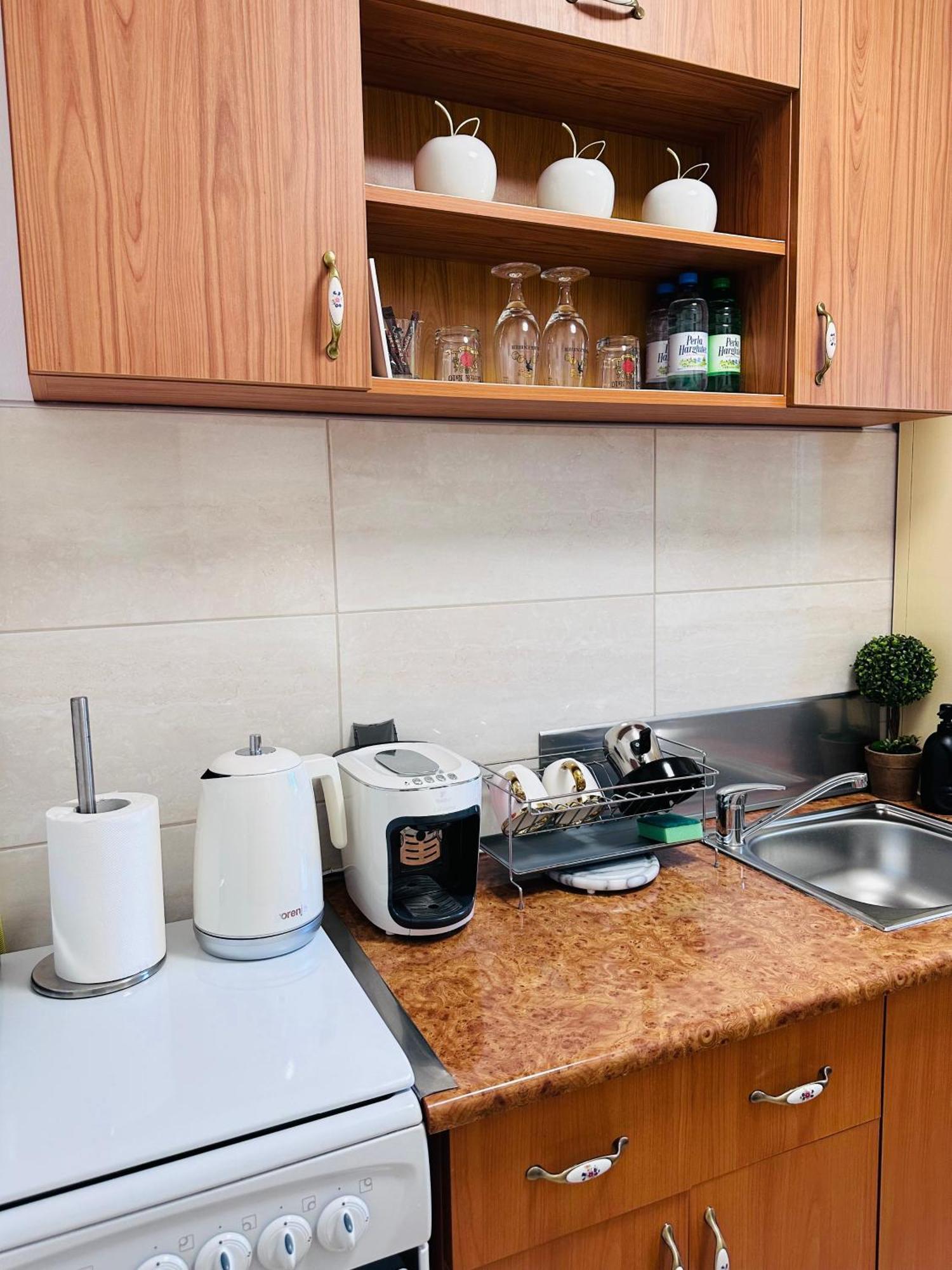 Studio Panoramic With Balcony And Parcul Unirii View Άλμπα Ιούλια Εξωτερικό φωτογραφία