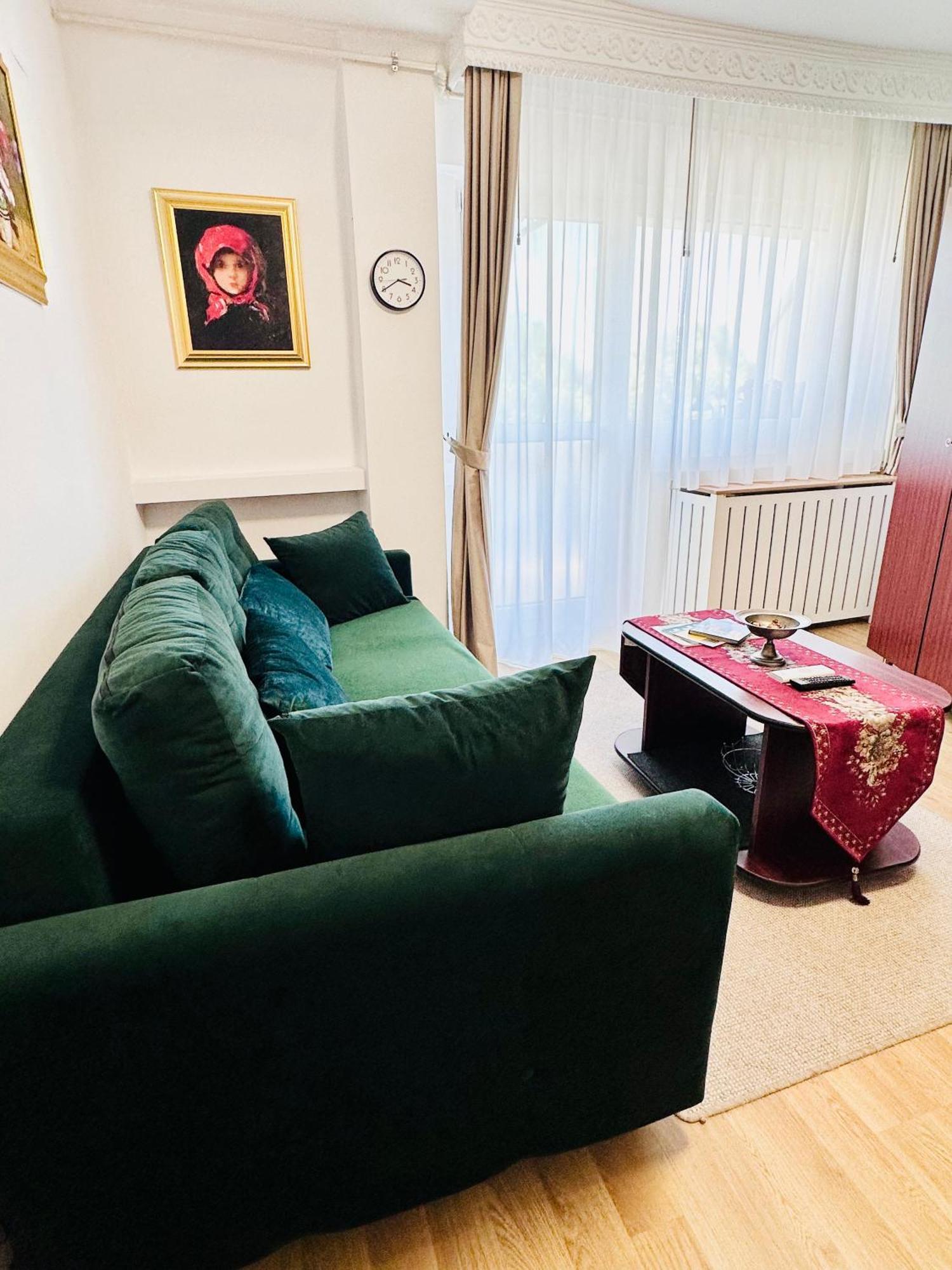 Studio Panoramic With Balcony And Parcul Unirii View Άλμπα Ιούλια Εξωτερικό φωτογραφία