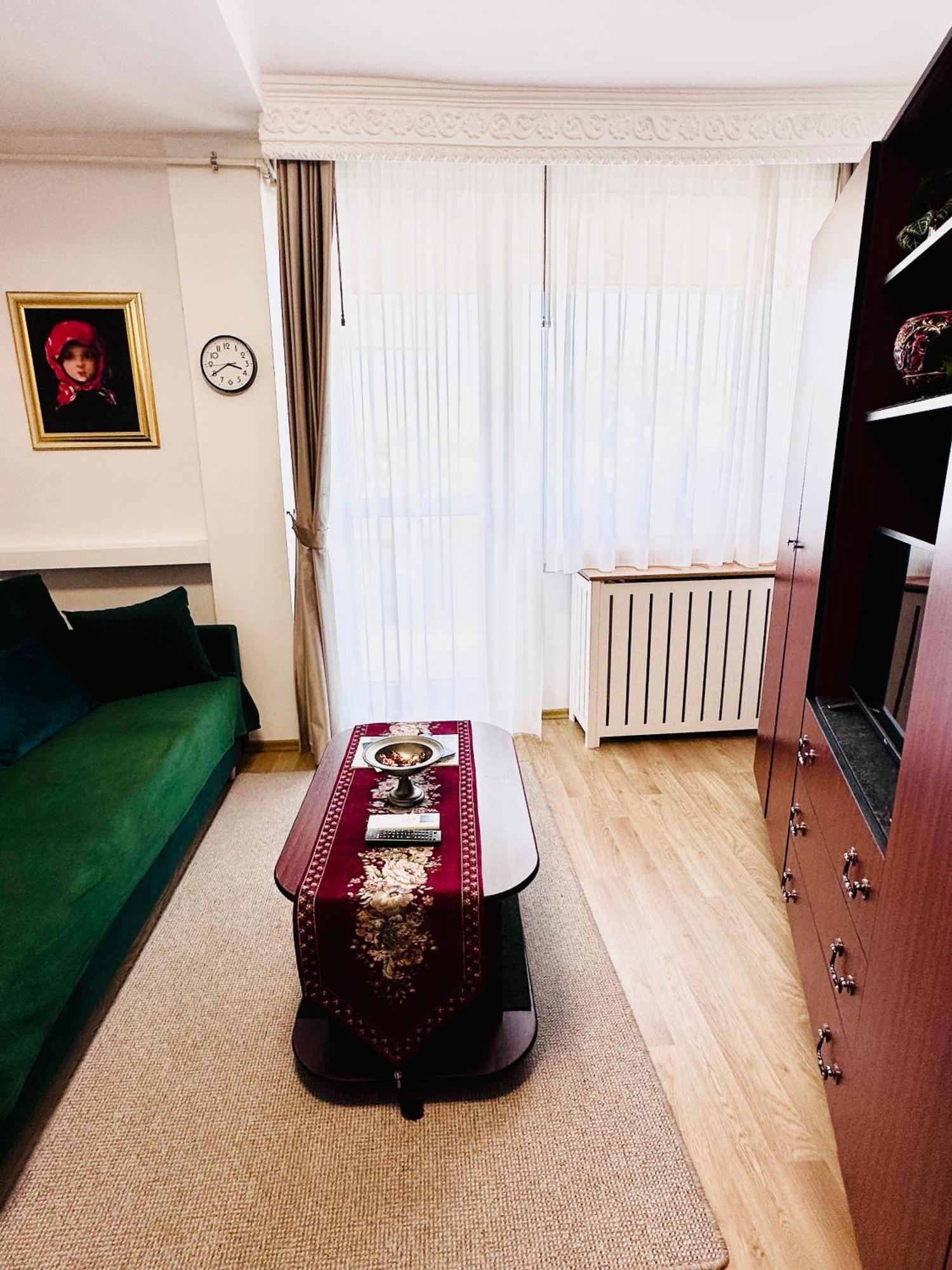 Studio Panoramic With Balcony And Parcul Unirii View Άλμπα Ιούλια Εξωτερικό φωτογραφία